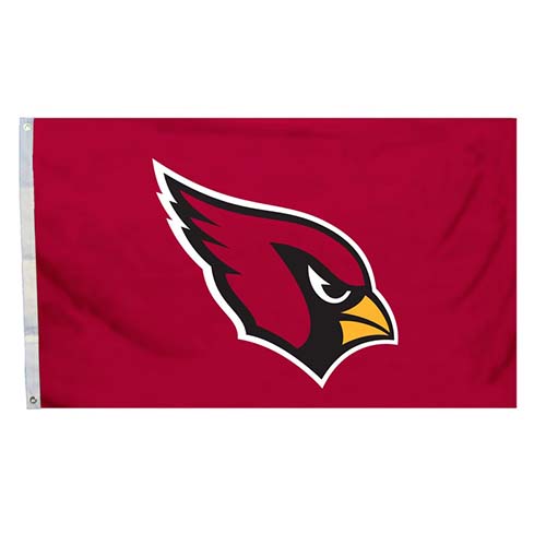 2x3 team flag